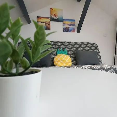 Appartement Atypique T1 Duplex - Wifi .parking .proche .gare