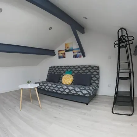Atypique T1 Duplex - Wifi .parking .proche .gare 公寓 圣康坦