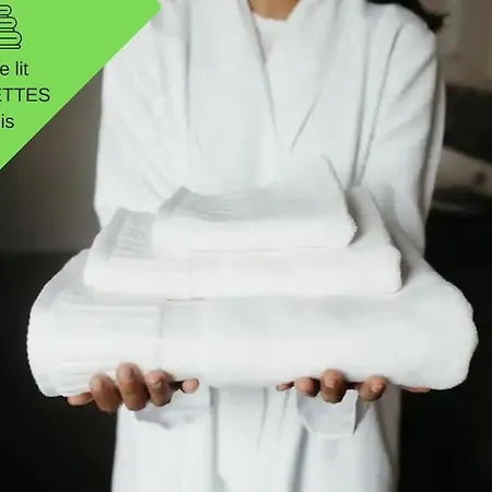 Appartement Atypique T1 Duplex - Wifi .parking .proche .gare *