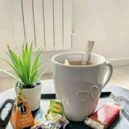 Appartement Atypique T1 Duplex - Wifi .parking .proche .gare *