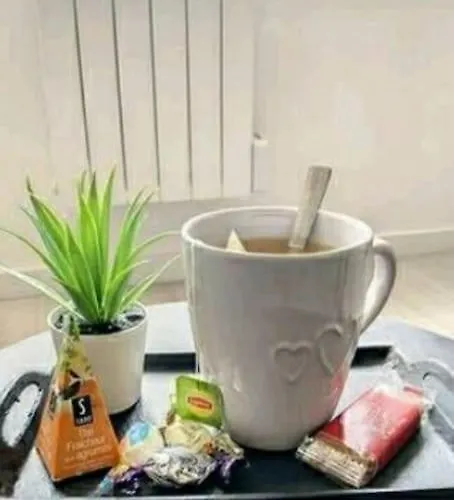 Appartement Atypique T1 Duplex - Wifi .parking .proche .gare *